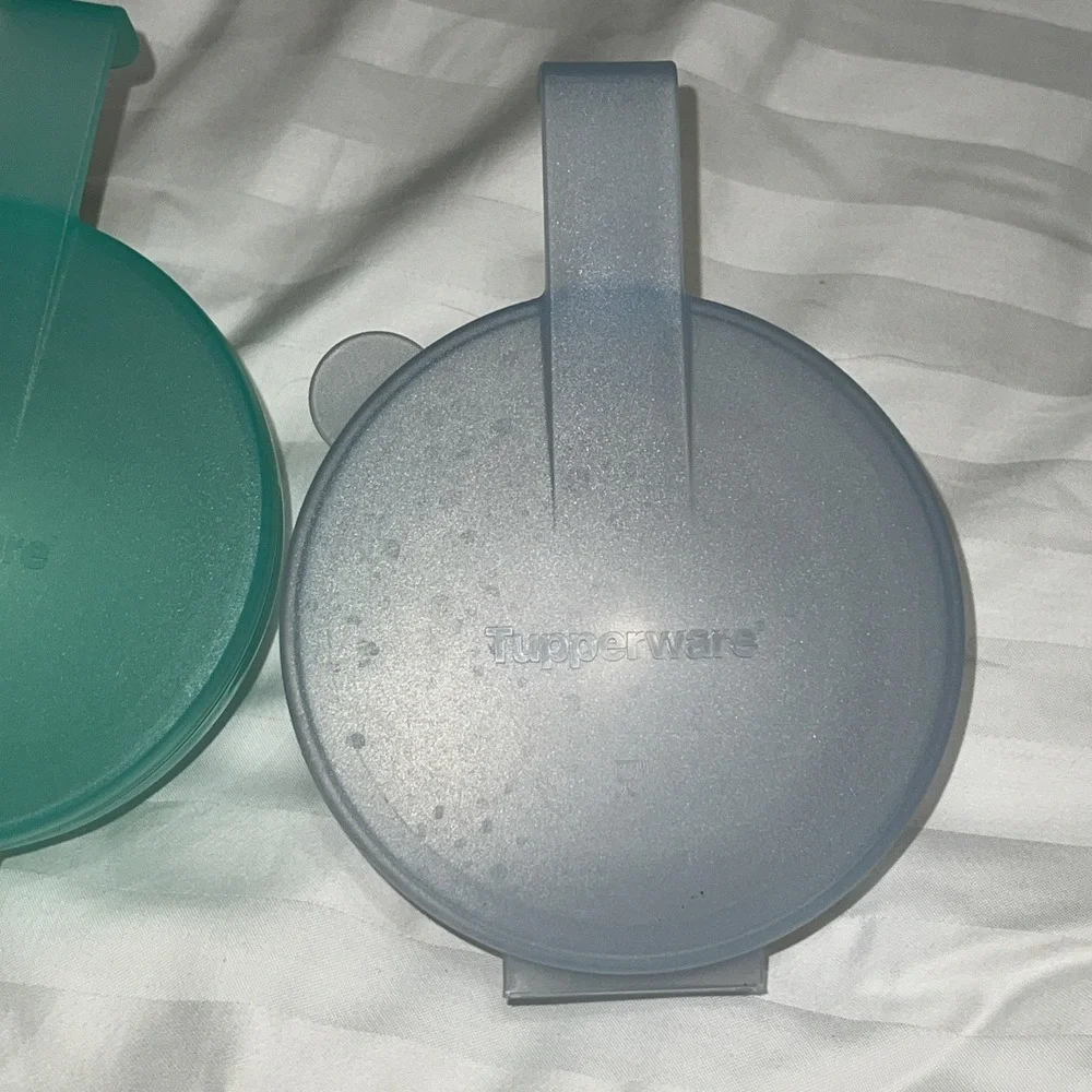 Set 2 Vintage Tupperware Forget Me Not Onion/Tomato Hanging Keeper Plastic Blue